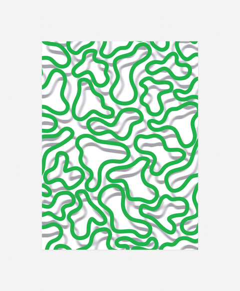 Dynamic Contours