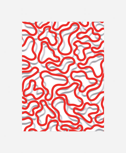 Dynamic Contours